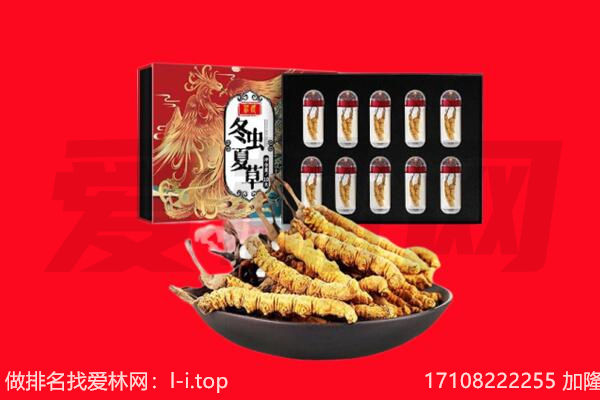 佛山回收虫草.jpg